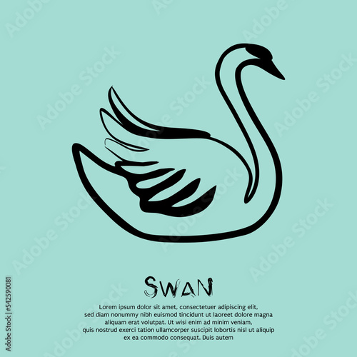 Swan line drawing art. Vector illustration