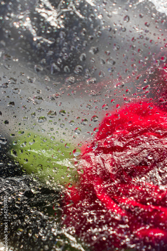 flowers under a film with water drops,a background image or a screensaver