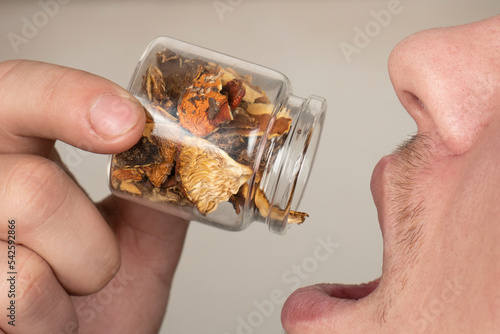 use of large doses of dried red fly agaric, man eat amanita muscaria