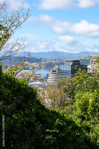 Stunning urban view of capital Wellington city, central business district buildings, skyscrapers and parliamentary Beehive with a glimpse of harbour in Wellington, New Zealand Aotearoa 