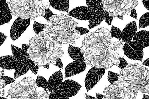 Wallpaper Mural Monochrome black and white seamless pattern with roses and black leaves on white. Hand drawn contour lines. Floral wallpaper design for textiles, paper, print, fashion, fabric, and card background.  Torontodigital.ca