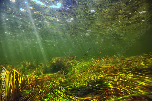 sun rays under water landscape, seascape fresh water river diving © kichigin19