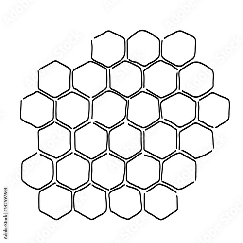 propolis honeycomb sketch. hand drawn honey comb. Black and white image bee wax. Bee honey and propolis doodle vector icon illustration.