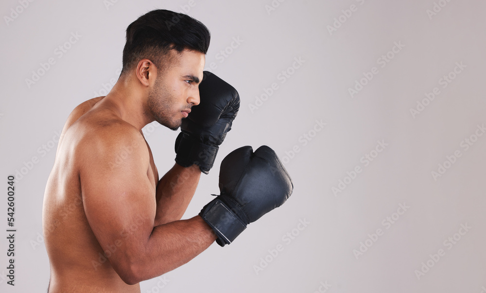 Training, young man and boxer with boxing gloves for competition, prepare for match and focus with grey studio background profile. Sportsman, Indian male and fighter at game, being healthy in workout