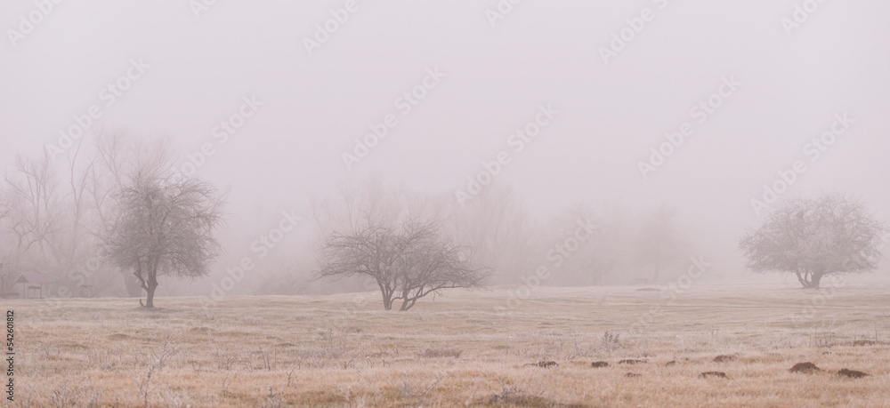 Foggy scenery in a remote rural area in winter Foggy scenery in a remote rural area in winter