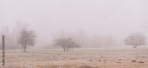 Wallpaper Mural Foggy scenery in a remote rural area in winter Torontodigital.ca