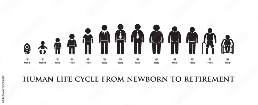 © Eakglory - black vector human life cycle from newborn to retirement on a white background © Eakglory - black vector human life cycle from newborn to retirement on a white background