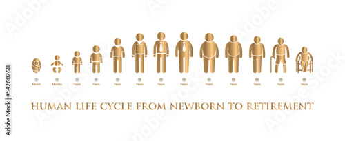 gold vector human life cycle from newborn to retirement on a white background