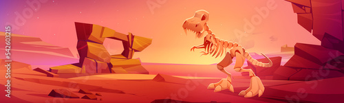 Dinosaur skeleton on nature landscape with rocks, red soil and starry sky. Cartoon design for paleontological museum, exhibition of prehistoric era. Dino tyrannosaurus rex fossils, Vector illustration