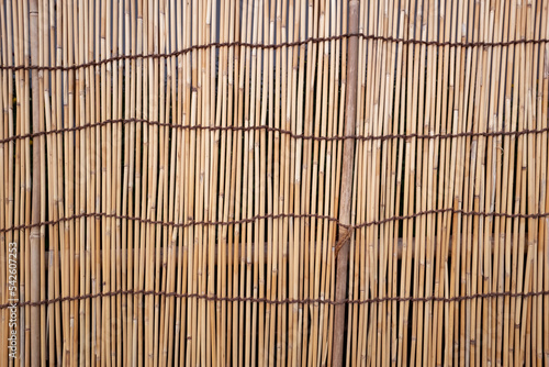 Surface of Sudare that made of dried reed as screens or blinds in Japan.