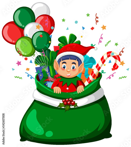 Elf in Christmas gift bag