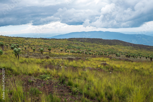 Scenic mountain landscapes against sky at Aberdare National Park, Kenya