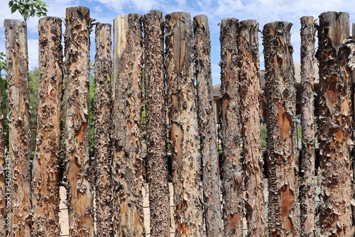 Coyote fence in New Mexico. photo