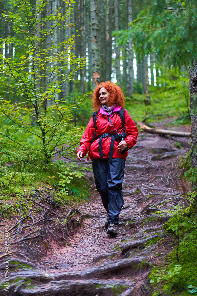 Nature photographer hiking in the pine forest on the mountain Nature photographer hiking in the pine forest on the mountain