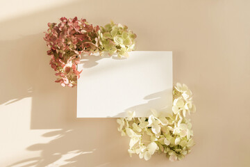 Invitation card mockup with hydrangea flowers on beige pastel background. Template blank of white paper mock up for branding and advertising. Top view, flat lay, copy space.