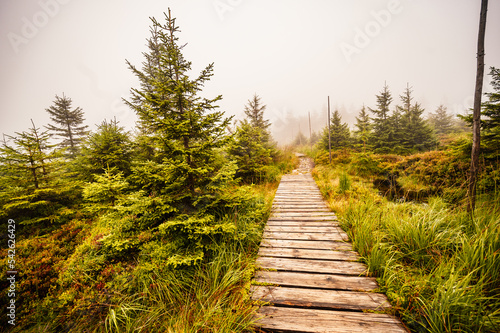 Mountain landscape in Jeseniky, view of the mountain range from the hiking trail on the top of small Jezernik from cernohorske saddle. A pathway for hikers through bog photo