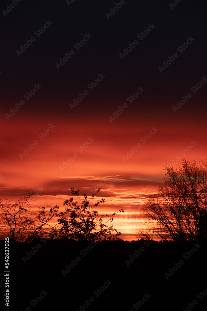 Obraz premium Morning sun is rising through clouds and trees Dawn