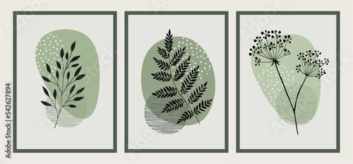 Set of three botanical illustrations in minimalist style and green colors for poster, t-shirt print, cover, banner. Printable herbs. Scandinavian style.