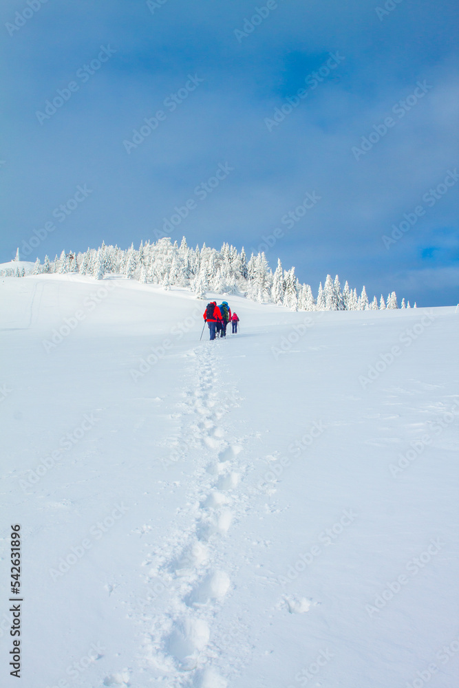 A group of hikers hiking with their footprints in the snow in the winter
