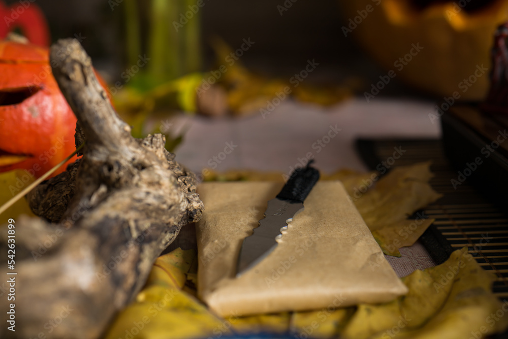 knife for pressed Chinese pu-erh tea. Chinese tea ceremony knife for pressed Chinese pu-erh tea. Chinese tea ceremony