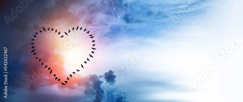 flying flock of heart-shaped birds against the sky