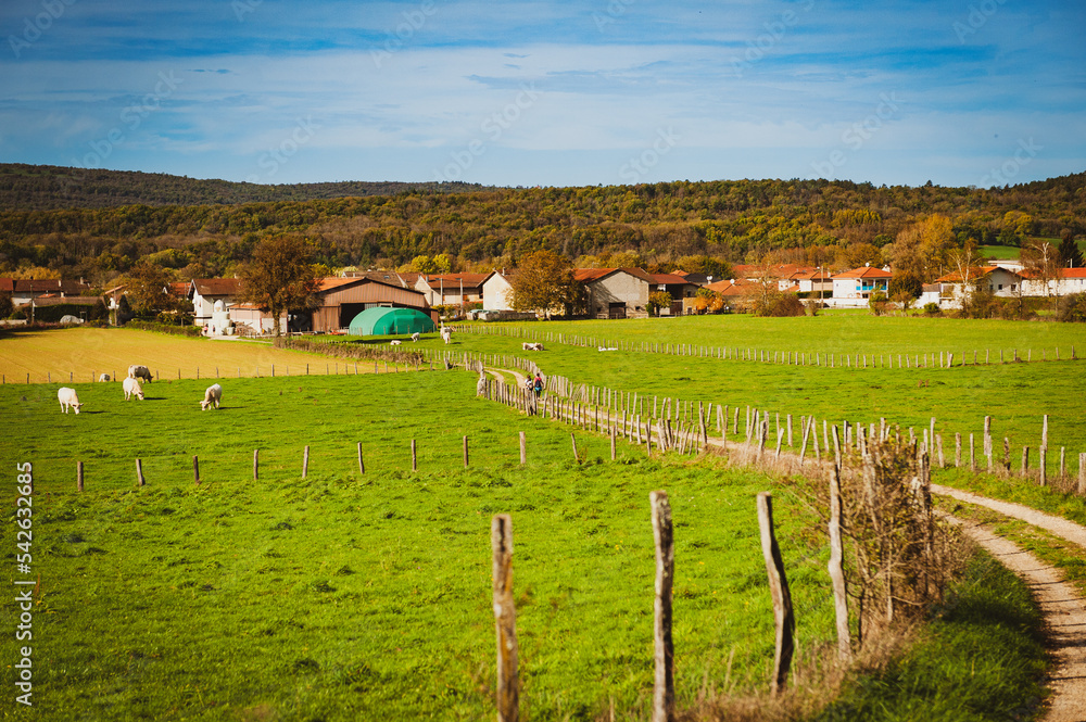 Fototapeta premium Dans la campagne française un jour d'automne. 