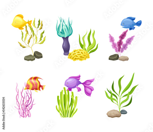 Set of underwater seaweeds, algae and small fishes set. Marine underwater life vector illustration