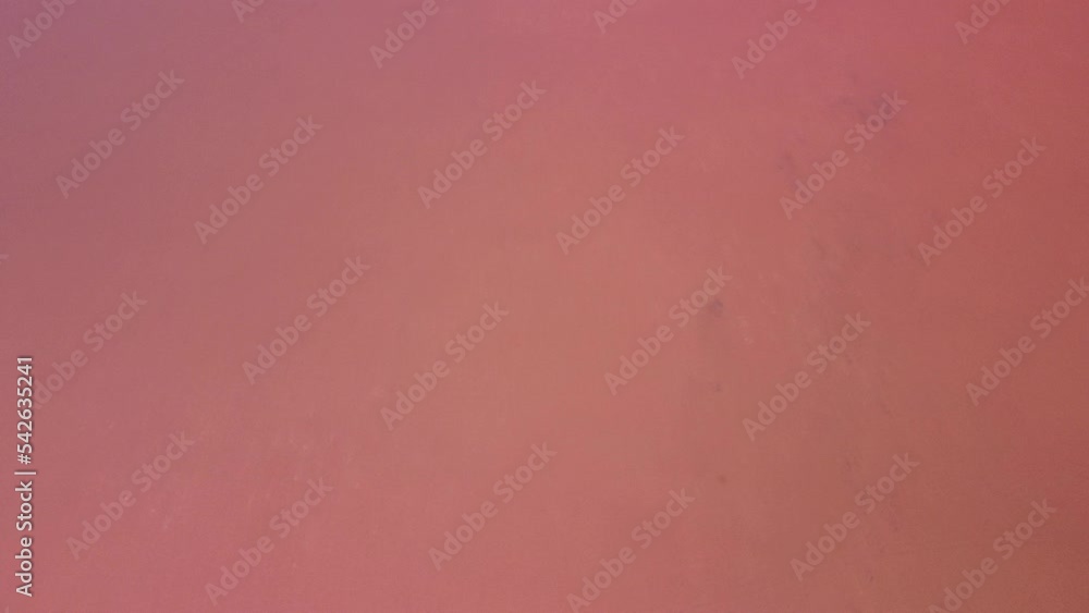 Flying over a pink salt lake. Salt production facilities saline evaporation pond fields in the salty lake. Dunaliella salina impart a red, pink water in mineral lake with dry cristallized salty coast Flying over a pink salt lake. Salt production facilities saline evaporation pond fields in the salty lake. Dunaliella salina impart a red, pink water in mineral lake with dry cristallized salty coast