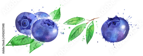 Slika na platnu Watercolor isolated illustration of blueberry