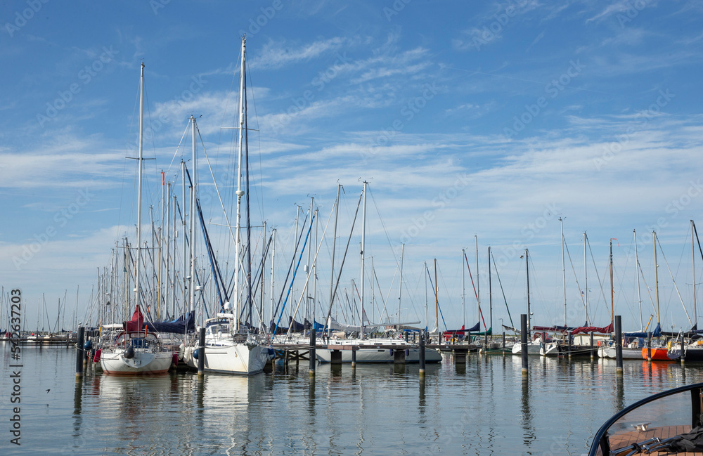 yachts, sailing boats, harbour, harbor, ijsselmeer, netherlands, lelystad, masts, marina, 