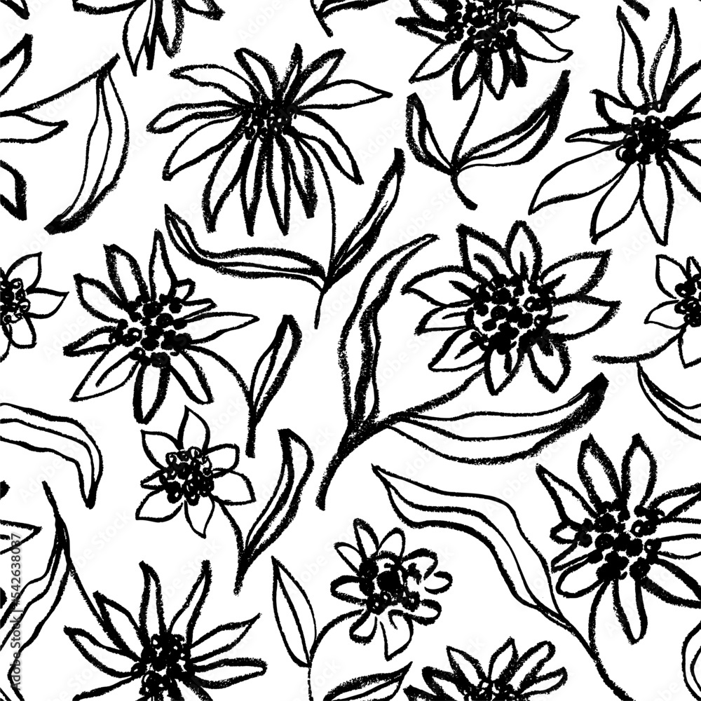 Chamomile or aster seamless pattern. Hand drawn pencil drawing flowers. Sketch style line chamomile flowers with stems and leaves. Black and white vector botanical ornament in childish style. 