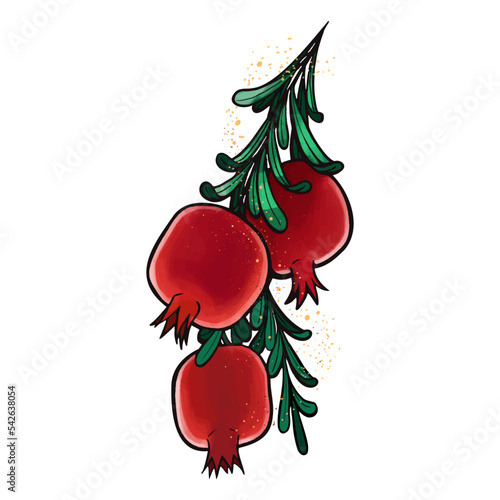 pomegranate colored on the white background