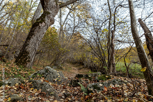 Mountain, autumn, Cerdanya