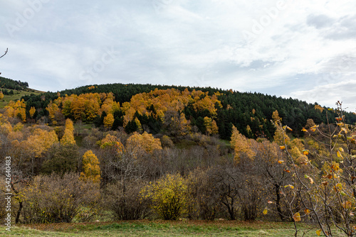 Mountain, autumn, Cerdanya
