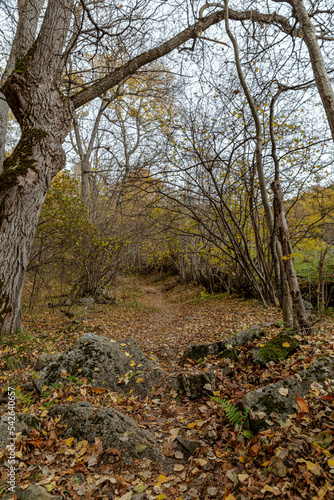 Mountain, autumn, Cerdanya