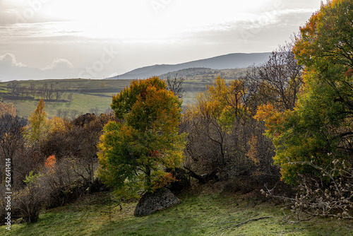 Mountain, autumn, Cerdanya