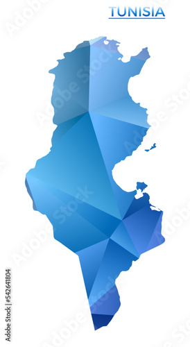 Vector polygonal map of Tunisia in a vibrant geometric low poly style. Ideal for infographics, presentations, and digital designs.