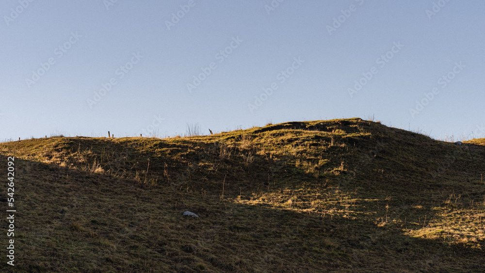Obraz premium meadow in fall