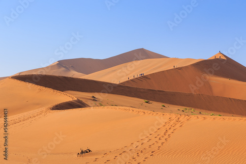 Amazing View from the dune to the salt pan of Sossusvlei, Namibia. © Tomasz Wozniak
