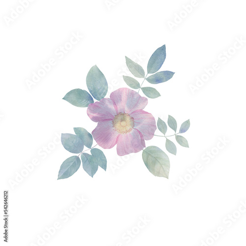 watercolor flower bouquet isolated on white background
