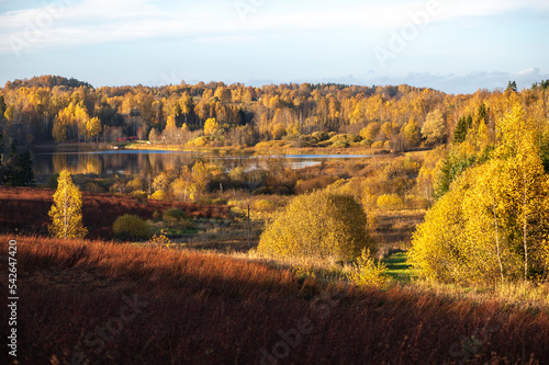Beautiful autumn landscape with a rural lake surrounded by colorful trees