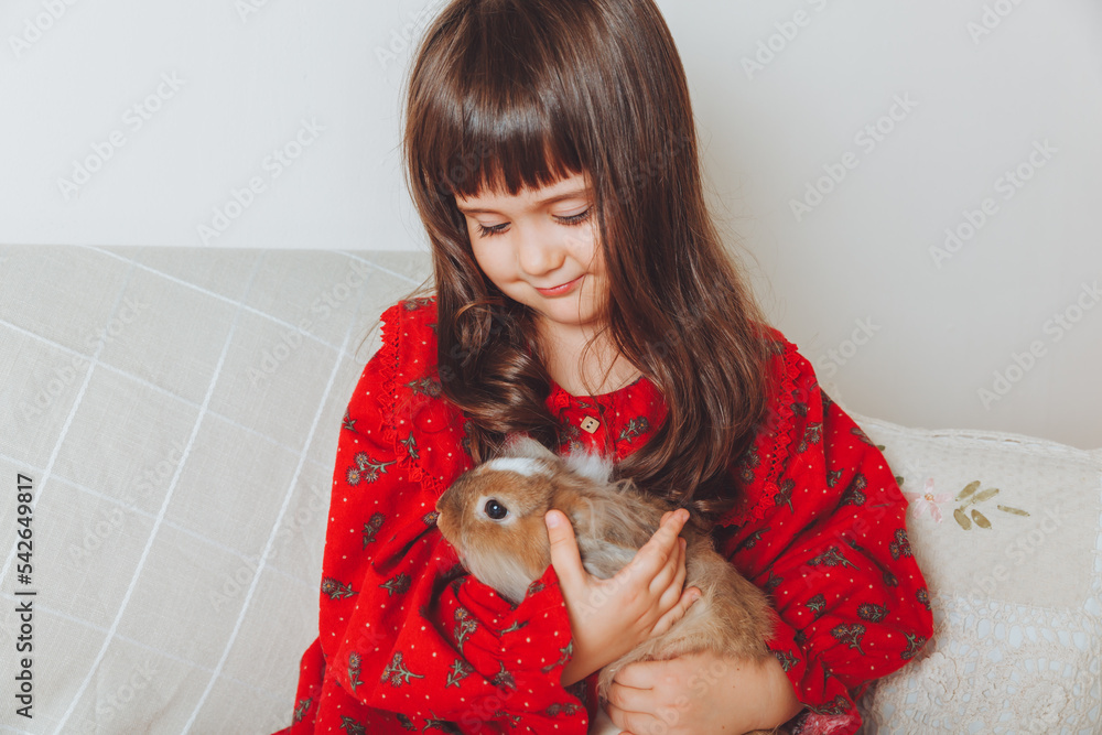 A happy laughing little girl in a red dress plays with a baby rabbit, hugs a pet rabbit and learns to take care of the animal. Baby sofa at home