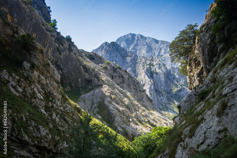 Mountain landscape, Picos de Europa, Asturias, Spain