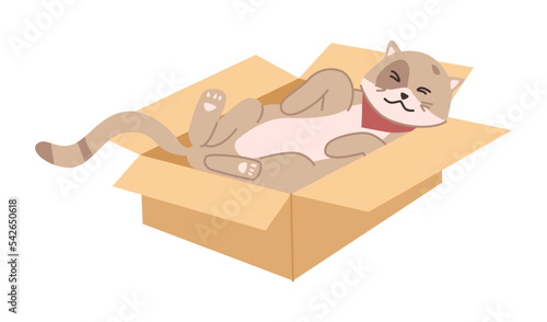 Cat sleeping and resting in carton box, kitty life and habits. Isolated kitten relaxing, pet routine and every day activities, portrait of pet. Vector in flat style