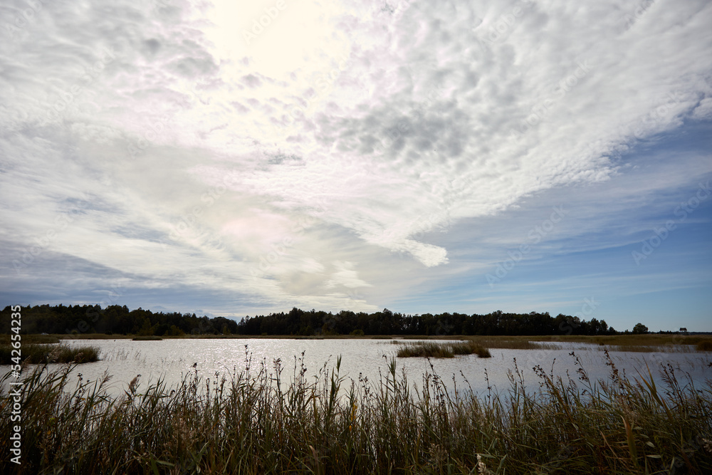 Natural landscape with lake, reed and beautiful sky cvered with clouds, selective focus Natural landscape with lake, reed and beautiful sky cvered with clouds, selective focus