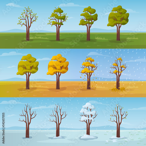 Tree during different seasons of year, cartoon set. Spring and summer, autumn with falling leaves and rain. Winter with blizzards, frosts and chill. Vector in flat style