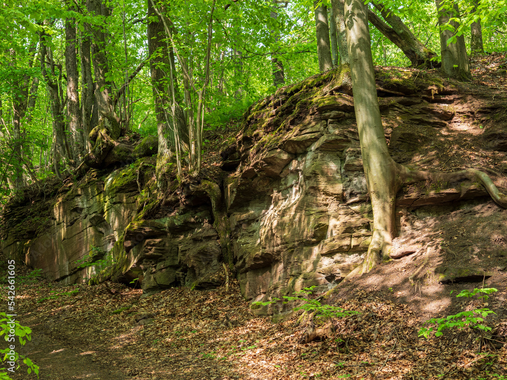 Alter Hohlweg mit Felsenpassage bei Unfinden im NSG Trockenhänge und Urwiese bei Junkersdorf, Stadt Königsberg, Naturpark Haßberge, Landkreis Haßberge, Unterfranken, Franken, Bayern, Deutschland Alter Hohlweg mit Felsenpassage bei Unfinden im NSG Trockenhänge und Urwiese bei Junkersdorf, Stadt Königsberg, Naturpark Haßberge, Landkreis Haßberge, Unterfranken, Franken, Bayern, Deutschland
