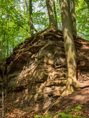 Alter Hohlweg mit Felsenpassage bei Unfinden im NSG Trockenh  nge und Urwiese bei Junkersdorf  Stadt K  nigsberg  Naturpark Ha  berge  Landkreis Ha  berge  Unterfranken  Franken  Bayern  Deutschland