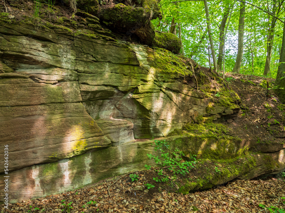 Fototapeta premium Alter Hohlweg mit Felsenpassage bei Unfinden im NSG Trockenhänge und Urwiese bei Junkersdorf, Stadt Königsberg, Naturpark Haßberge, Landkreis Haßberge, Unterfranken, Franken, Bayern, Deutschland
