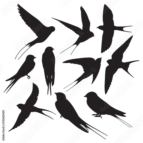 Swallow bundle silhouette illustration isolated, stencil template for cutting decals, printing